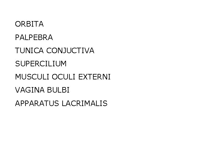 ORBITA PALPEBRA TUNICA CONJUCTIVA SUPERCILIUM MUSCULI OCULI EXTERNI VAGINA BULBI APPARATUS LACRIMALIS 
