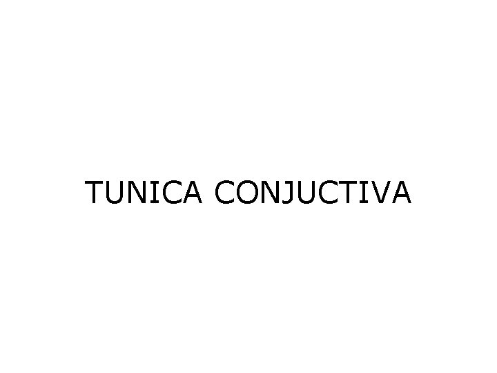 TUNICA CONJUCTIVA 