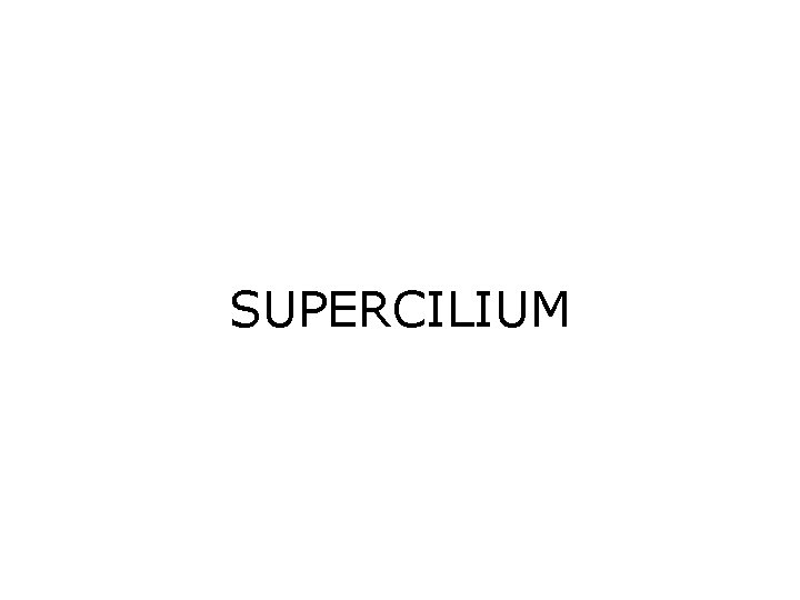 SUPERCILIUM 