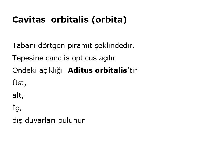 Cavitas orbitalis (orbita) Tabanı dörtgen piramit şeklindedir. Tepesine canalis opticus açılır Öndeki açıklığı Aditus