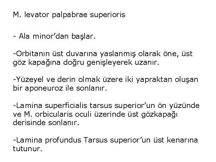 M. levator palpabrae superioris - Ala minor’dan başlar. -Orbitanın üst duvarına yaslanmış olarak öne,