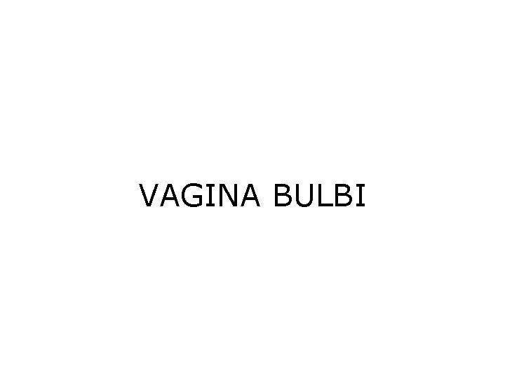 VAGINA BULBI 