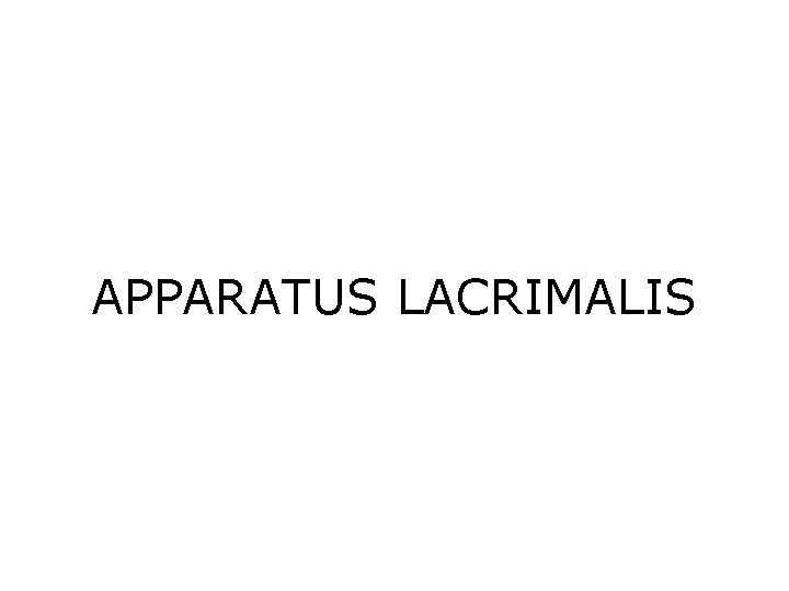 APPARATUS LACRIMALIS 