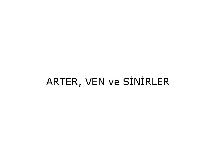 ARTER, VEN ve SİNİRLER 