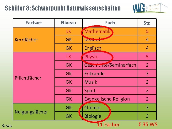 Schüler 3: Schwerpunkt Naturwissenschaften Fachart Kernfächer Pflichtfächer Neigungsfächer © WG Niveau Fach Std LK