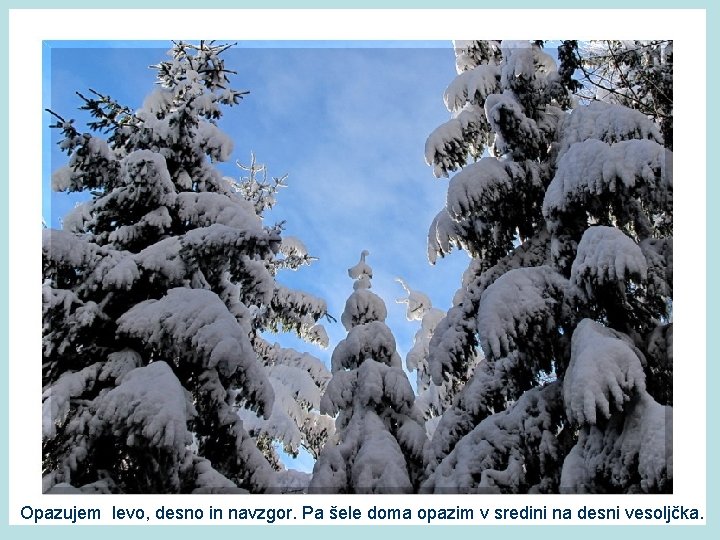 Opazujem levo, desno in navzgor. Pa šele doma opazim v sredini na desni vesoljčka.