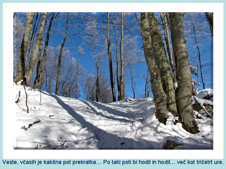 Veste, včasih je kakšna pot prekratka… Po taki poti bi hodil in hodil… več