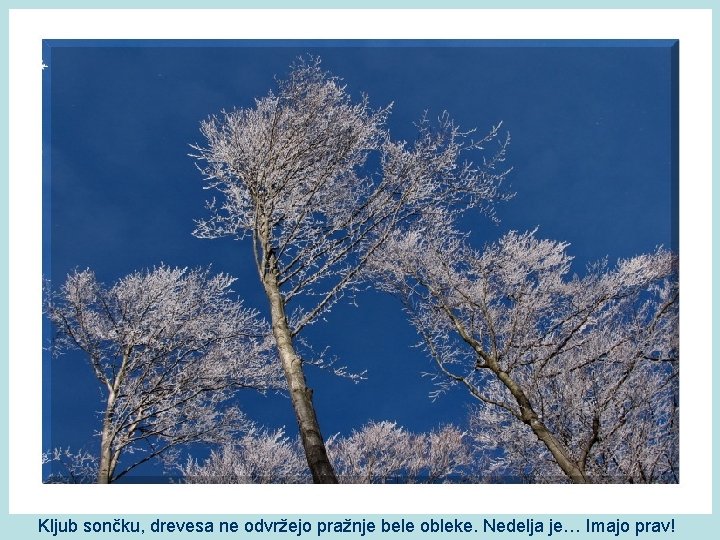 Kljub sončku, drevesa ne odvržejo pražnje bele obleke. Nedelja je… Imajo prav! 