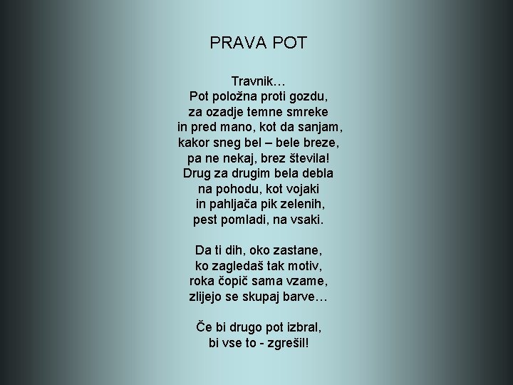 PRAVA POT Travnik… Pot položna proti gozdu, za ozadje temne smreke in pred mano,