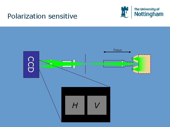 Polarization sensitive Focus CCD H V Polarization sensitive Focus CCD H V