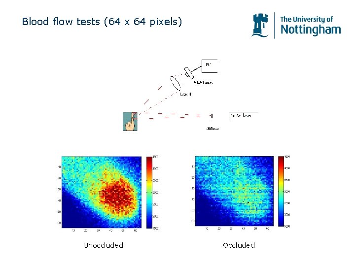 Blood flow tests (64 x 64 pixels) Unoccluded Occluded Blood flow tests (64 x 64 pixels) Unoccluded Occluded