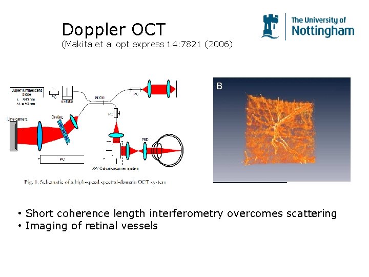 Doppler OCT (Makita et al opt express 14: 7821 (2006) • Short coherence length Doppler OCT (Makita et al opt express 14: 7821 (2006) • Short coherence length
