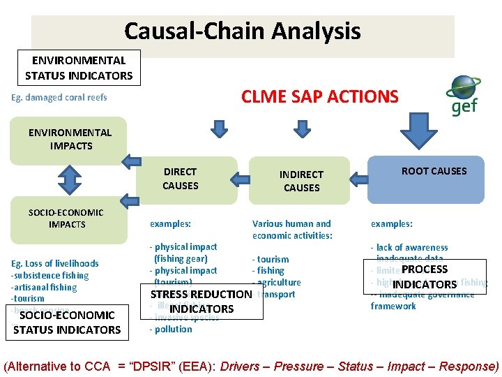Causal-Chain Analysis ENVIRONMENTAL STATUS INDICATORS CLME SAP ACTIONS Eg. damaged coral reefs ENVIRONMENTAL IMPACTS
