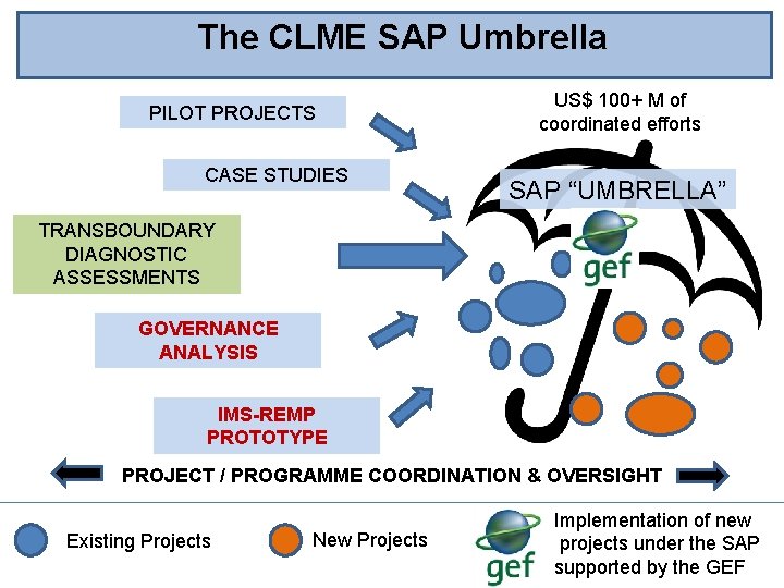 The CLME SAP Umbrella PILOT PROJECTS CASE STUDIES US$ 100+ M of coordinated efforts
