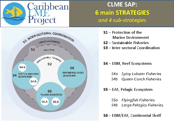 CLME SAP: 6 main STRATEGIES and 4 sub-strategies S 1 – Protection of the