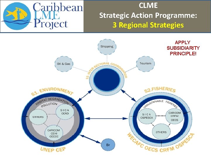 CLME Strategic Action Programme: 3 Regional Strategies APPLY SUBSIDIARITY PRINCIPLE! 