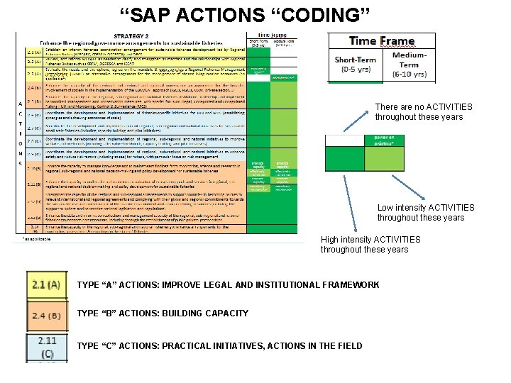 “SAP ACTIONS “CODING” There are no ACTIVITIES throughout these years Low intensity ACTIVITIES throughout