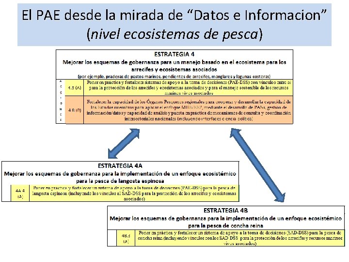 El PAE desde la mirada de “Datos e Informacion” (nivel ecosistemas de pesca) 