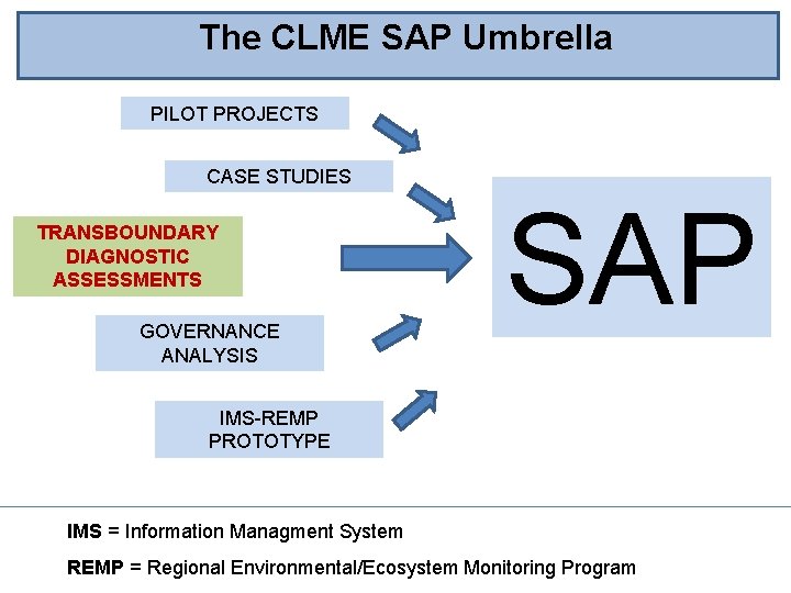 The CLME SAP Umbrella PILOT PROJECTS CASE STUDIES TRANSBOUNDARY DIAGNOSTIC ASSESSMENTS GOVERNANCE ANALYSIS SAP