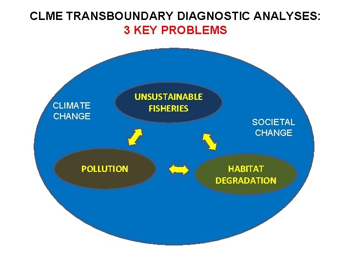 CLME TRANSBOUNDARY DIAGNOSTIC ANALYSES: 3 KEY PROBLEMS CLIMATE CHANGE POLLUTION UNSUSTAINABLE FISHERIES SOCIETAL CHANGE