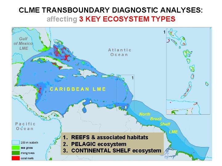 CLME TRANSBOUNDARY DIAGNOSTIC ANALYSES: affecting 3 KEY ECOSYSTEM TYPES 1. REEFS & associated habitats