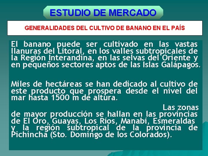 ESTUDIO DE MERCADO GENERALIDADES DEL CULTIVO DE BANANO EN EL PAÍS El banano puede