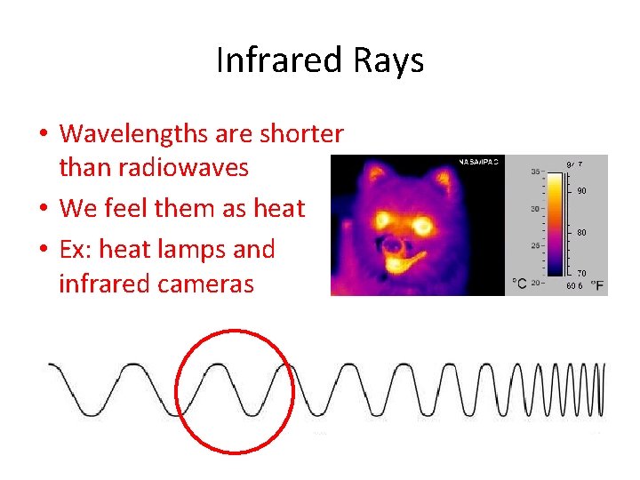 Infrared Rays • Wavelengths are shorter than radiowaves • We feel them as heat