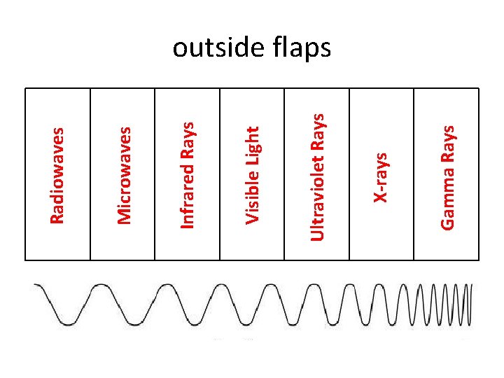 Gamma Rays X-rays Ultraviolet Rays Visible Light Infrared Rays Microwaves Radiowaves outside flaps 