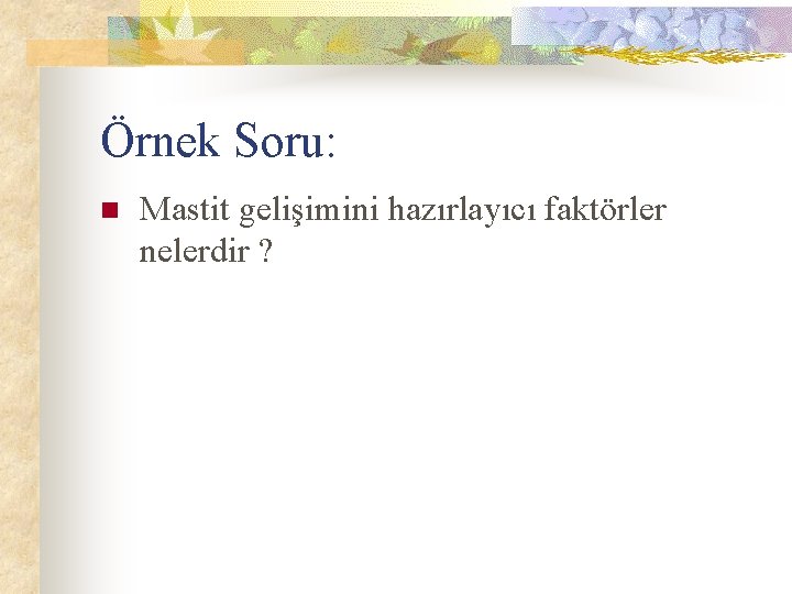 Örnek Soru: n Mastit gelişimini hazırlayıcı faktörler nelerdir ? 