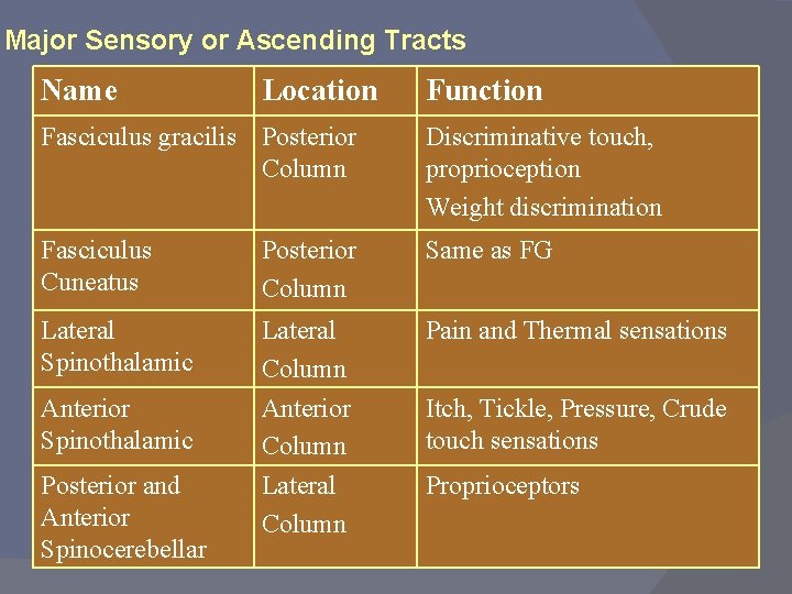 Major Sensory or Ascending Tracts Name Location Function Fasciculus gracilis Posterior Column Discriminative touch,