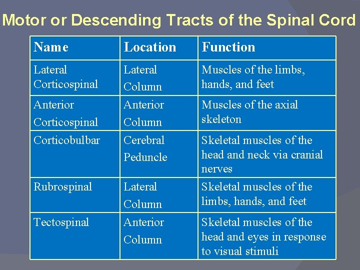 Motor or Descending Tracts of the Spinal Cord Name Location Function Lateral Corticospinal Lateral