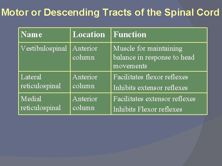 Motor or Descending Tracts of the Spinal Cord Name Location Function Vestibulospinal Anterior column