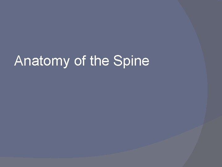 Anatomy of the Spine 