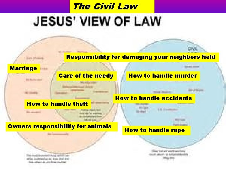 The Civil Law Responsibility for damaging your neighbors field Marriage Care of the needy