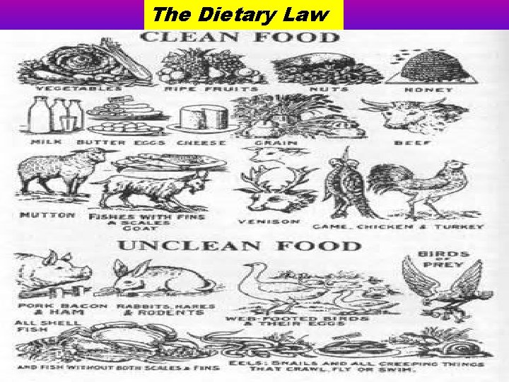 The Dietary Law 