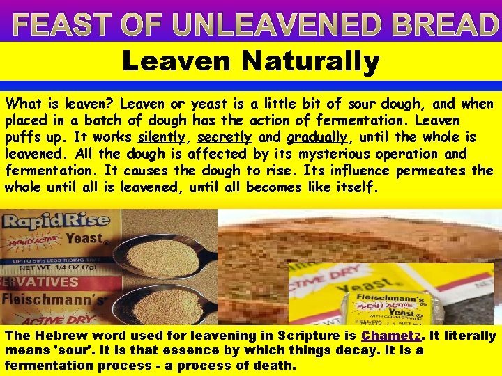 FEAST OF UNLEAVENED BREAD Leaven Naturally What is leaven? Leaven or yeast is a
