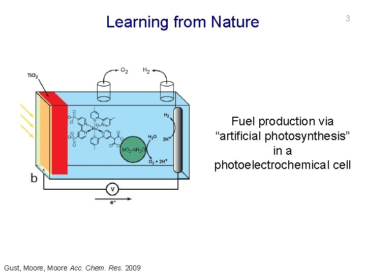 NONADIABATIC DYNAMICS OF PHOTOINDUCED PROTONCOUPLED ELECTRON TRANSFER PUJA