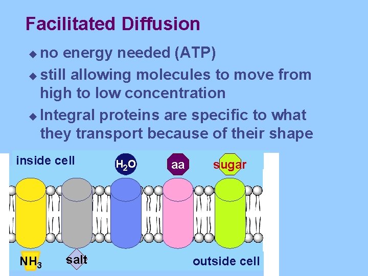Facilitated Diffusion no energy needed (ATP) u still allowing molecules to move from high