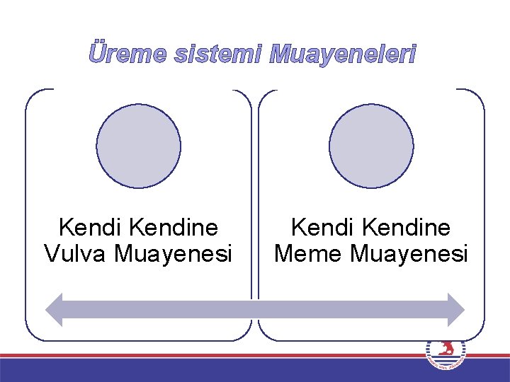 Üreme sistemi Muayeneleri Kendine Vulva Muayenesi Kendine Meme Muayenesi 