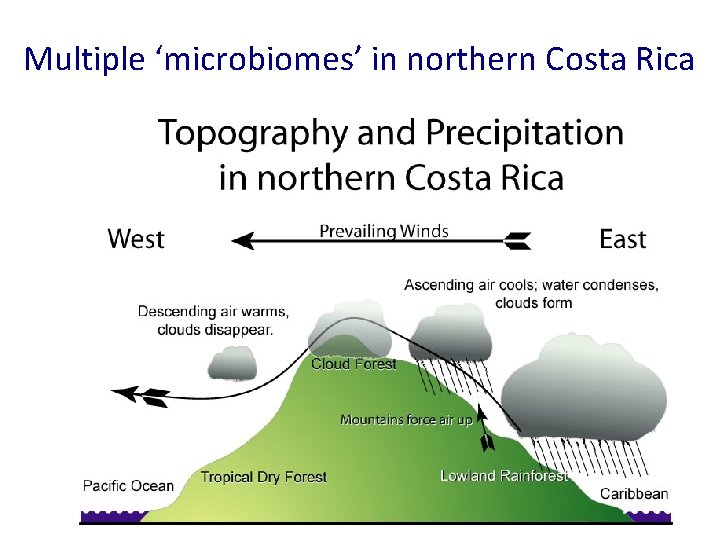 Multiple ‘microbiomes’ in northern Costa Rica 