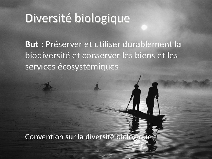 Diversité biologique But : Préserver et utiliser durablement la biodiversité et conserver les biens