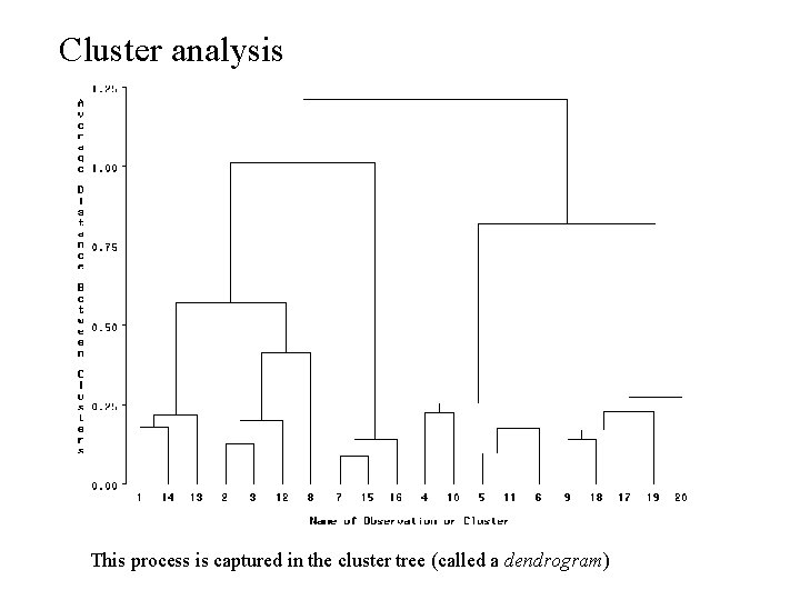 Cluster analysis This process is captured in the cluster tree (called a dendrogram) 