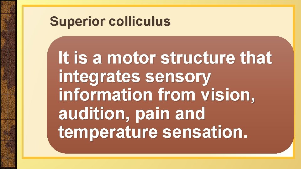 Superior colliculus It is a motor structure that integrates sensory information from vision, audition,