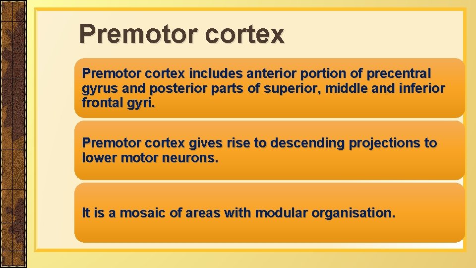 Premotor cortex includes anterior portion of precentral gyrus and posterior parts of superior, middle