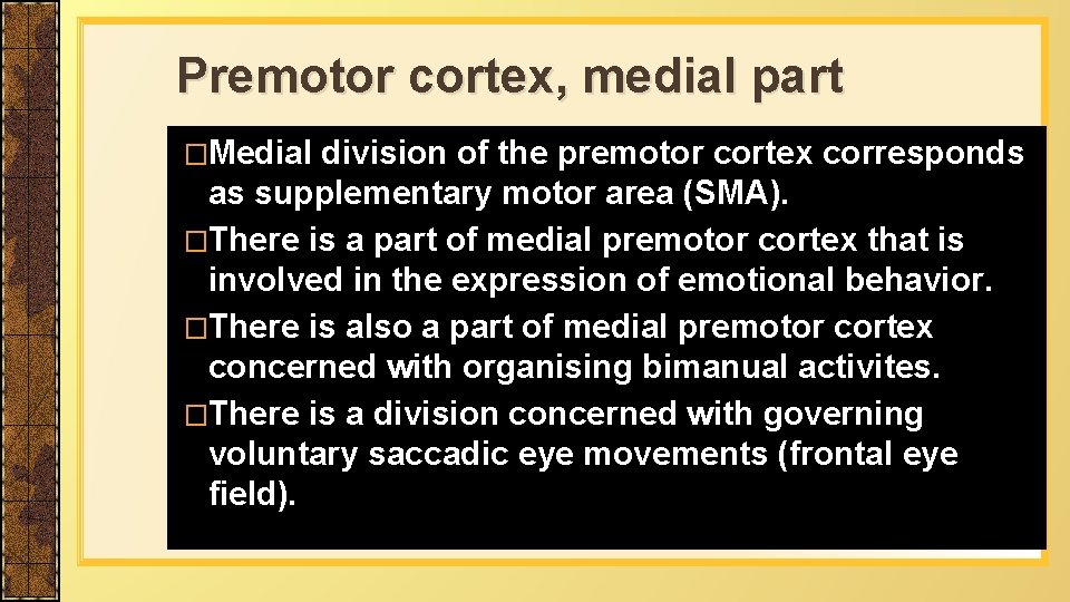Premotor cortex, medial part �Medial division of the premotor cortex corresponds as supplementary motor