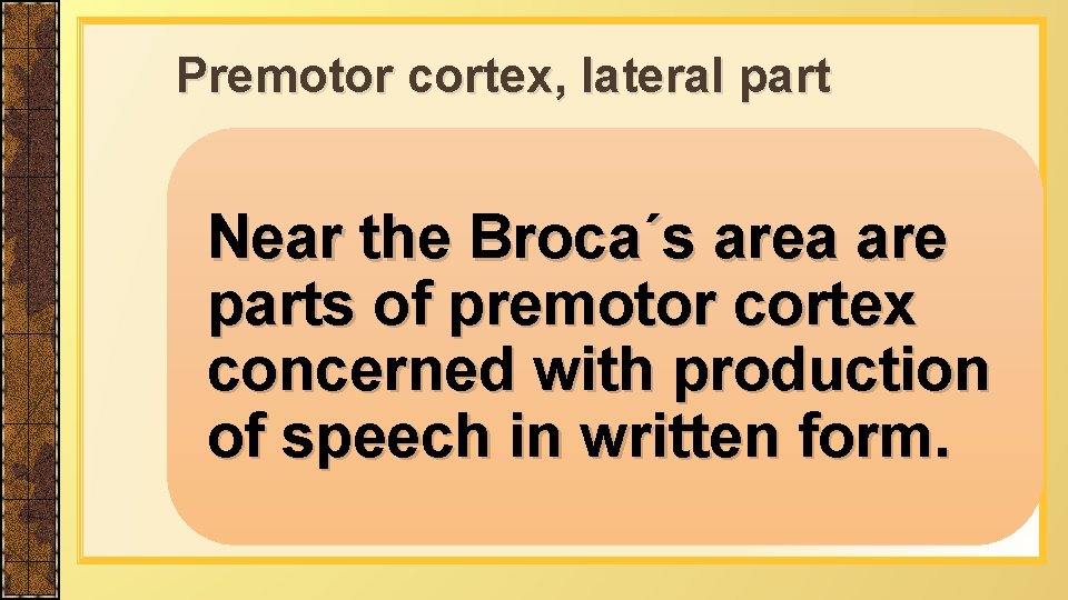 Premotor cortex, lateral part Near the Broca´s area are parts of premotor cortex concerned