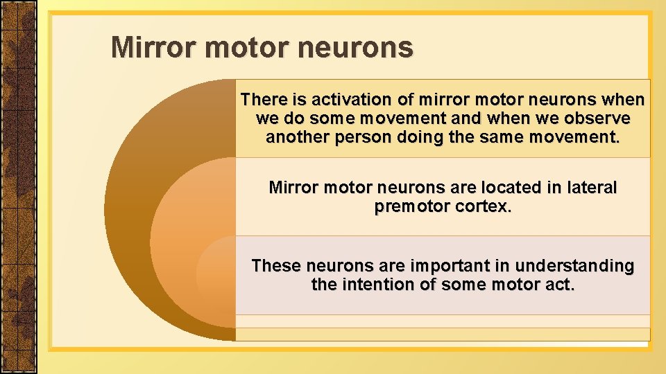 Mirror motor neurons There is activation of mirror motor neurons when we do some