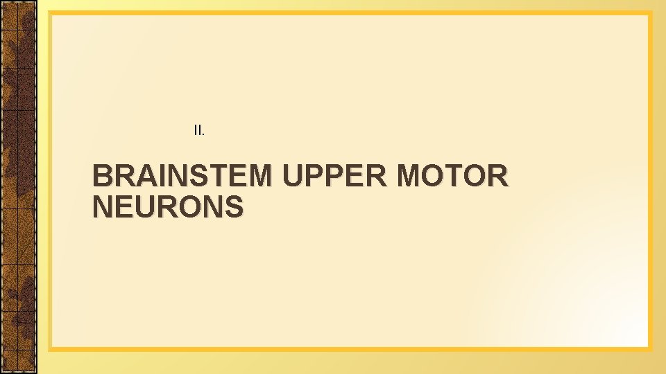 II. BRAINSTEM UPPER MOTOR NEURONS 