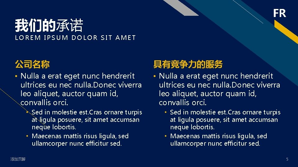 FR 我们的承诺 LOREM IPSUM DOLOR SIT AMET 公司名称 具有竞争力的服务 • Nulla a erat eget