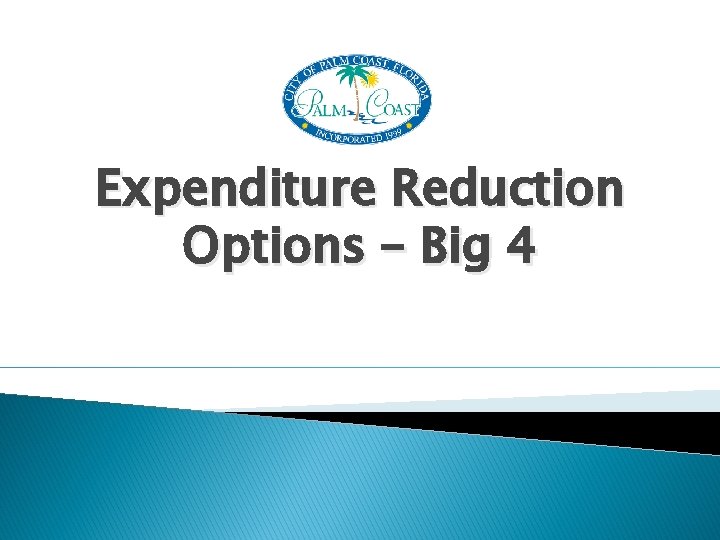 Expenditure Reduction Options – Big 4 